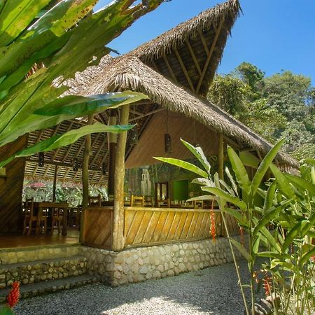 Esquinas Rainforest Lodge Golfito Dış mekan fotoğraf