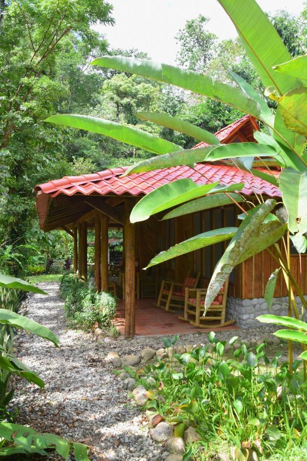 Esquinas Rainforest Lodge Golfito Dış mekan fotoğraf