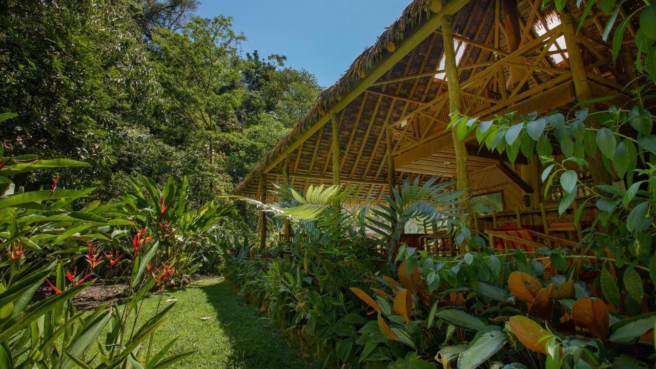 Esquinas Rainforest Lodge Golfito Dış mekan fotoğraf