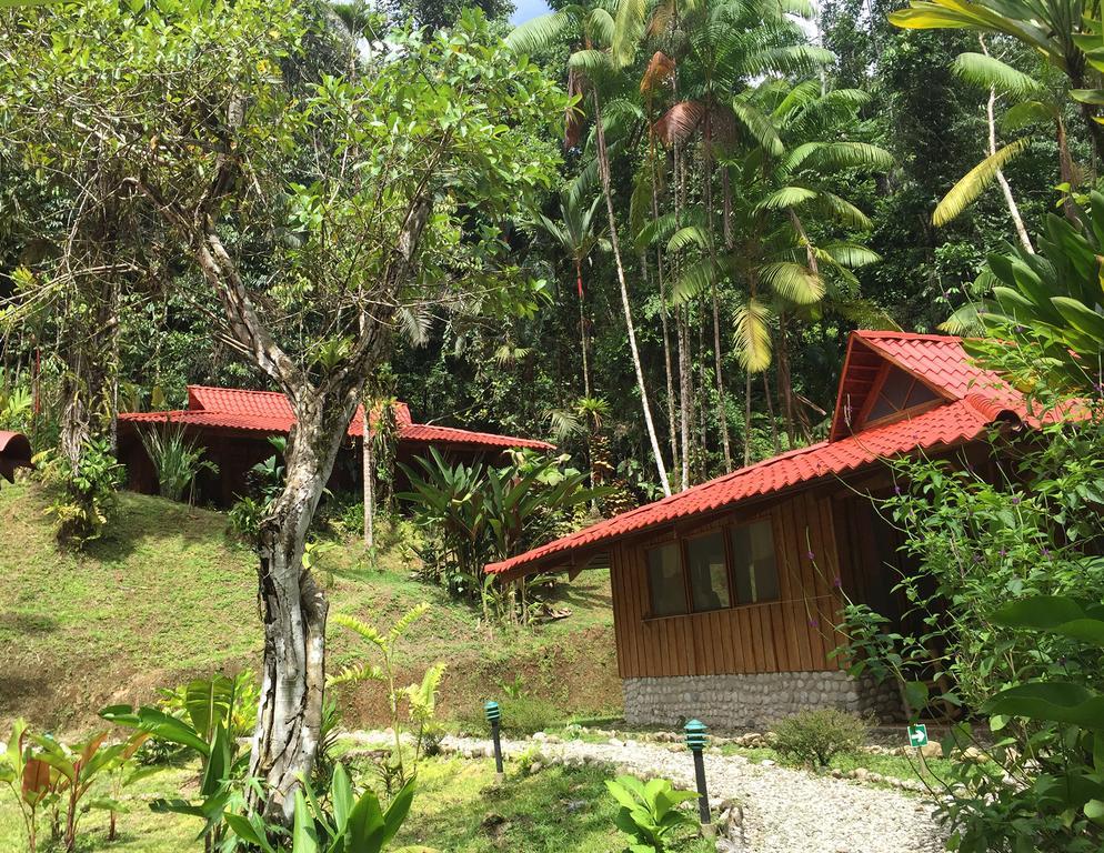 Esquinas Rainforest Lodge Golfito Dış mekan fotoğraf