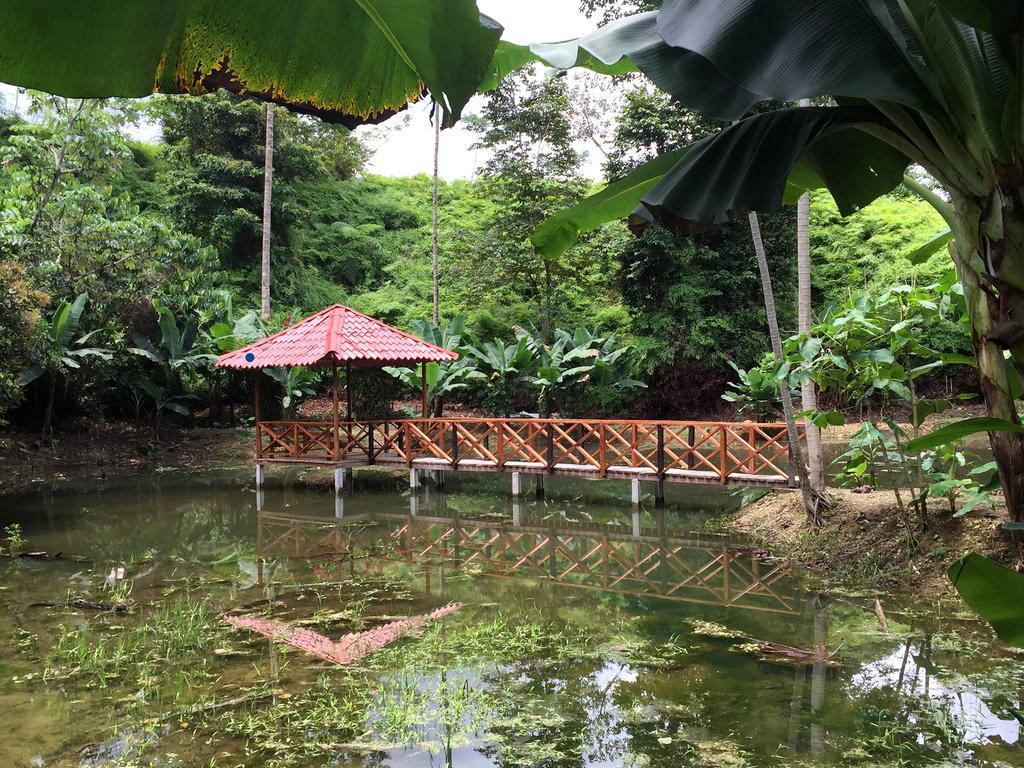 Esquinas Rainforest Lodge Golfito Dış mekan fotoğraf