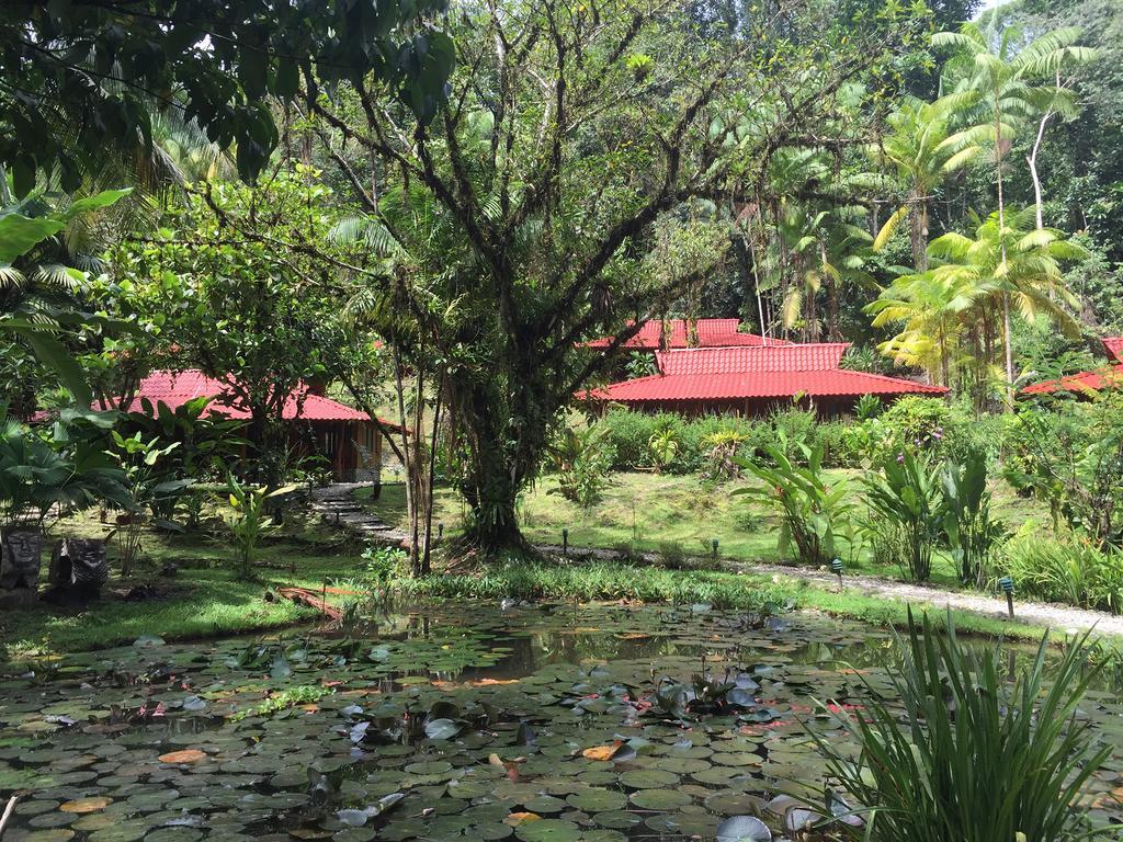 Esquinas Rainforest Lodge Golfito Dış mekan fotoğraf