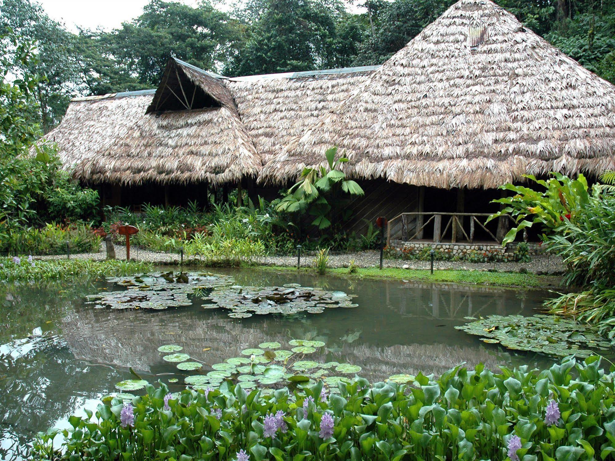 Esquinas Rainforest Lodge Golfito Dış mekan fotoğraf