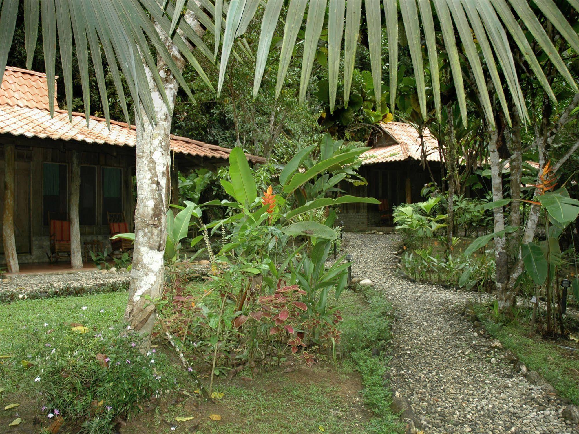 Esquinas Rainforest Lodge Golfito Dış mekan fotoğraf