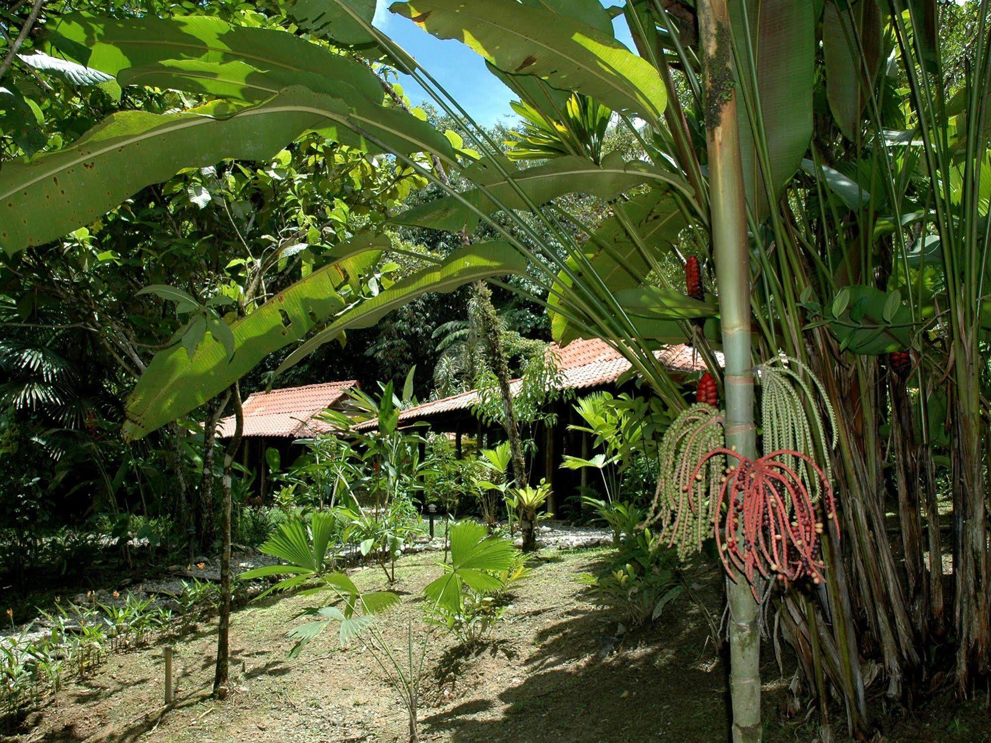 Esquinas Rainforest Lodge Golfito Dış mekan fotoğraf