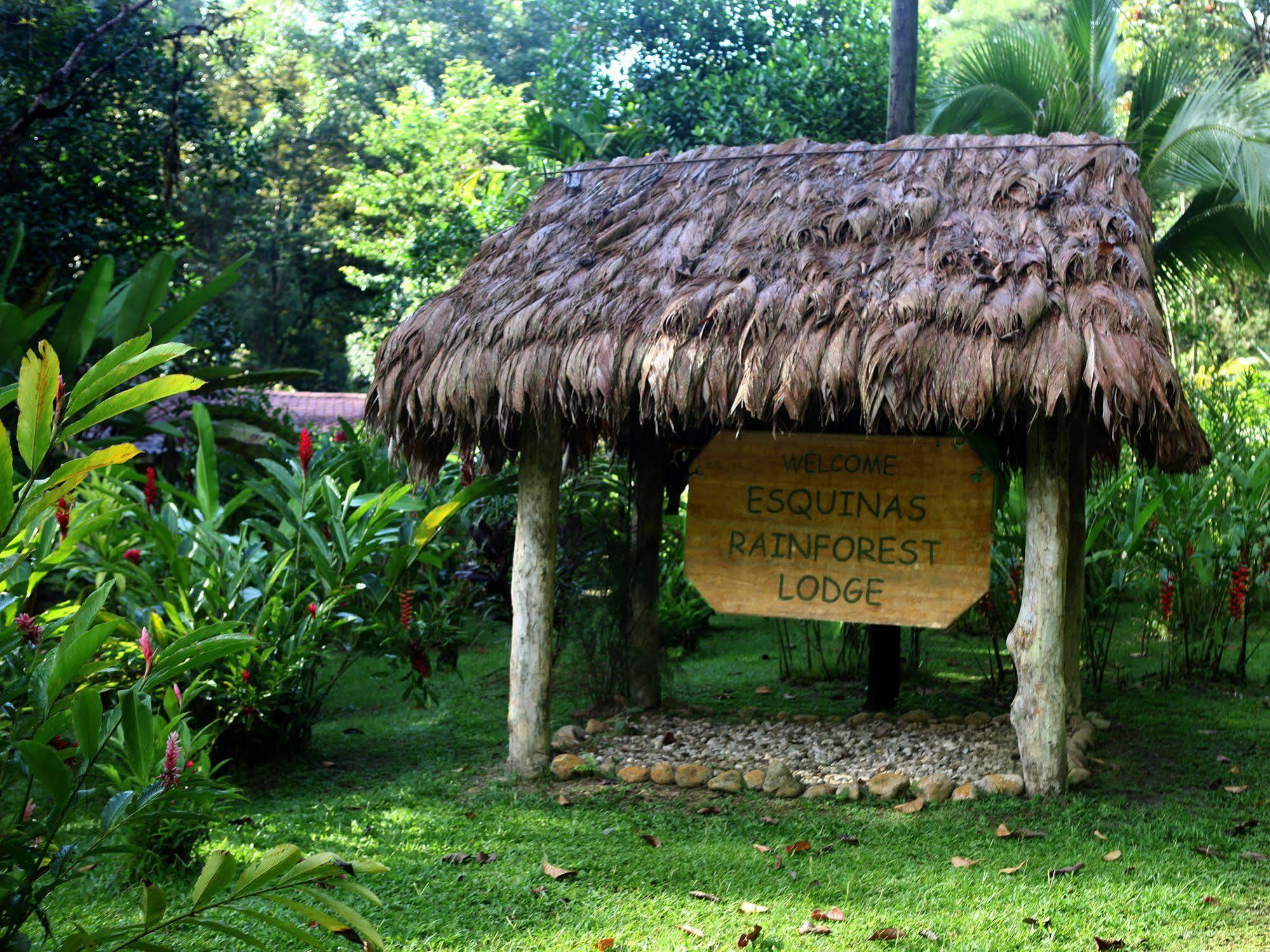 Esquinas Rainforest Lodge Golfito Dış mekan fotoğraf